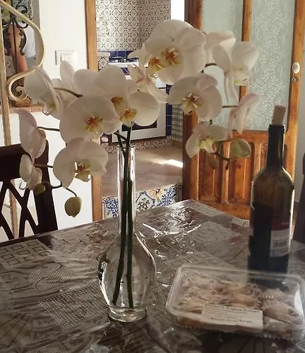 Garibaldi Fabrizia 카스텔라마레델골포